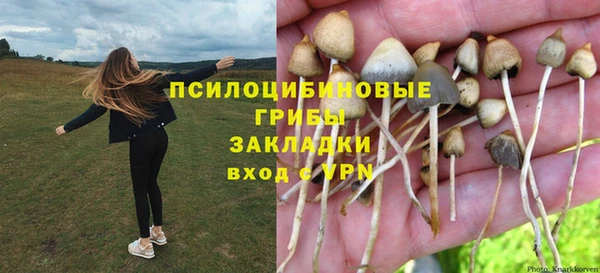 хмурый Михайловка